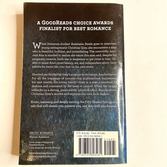 Fifty Shades of Grey Book by E L James #1 New York Times Bestseller - Picture 2 of 4